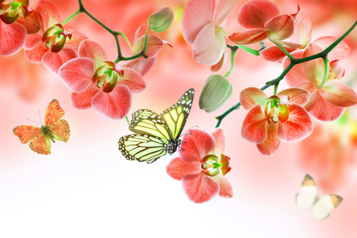 821048 (a): :4500x2987